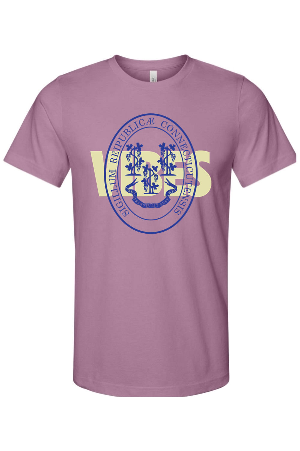 CT Vibes - Bella + Canvas Tee
