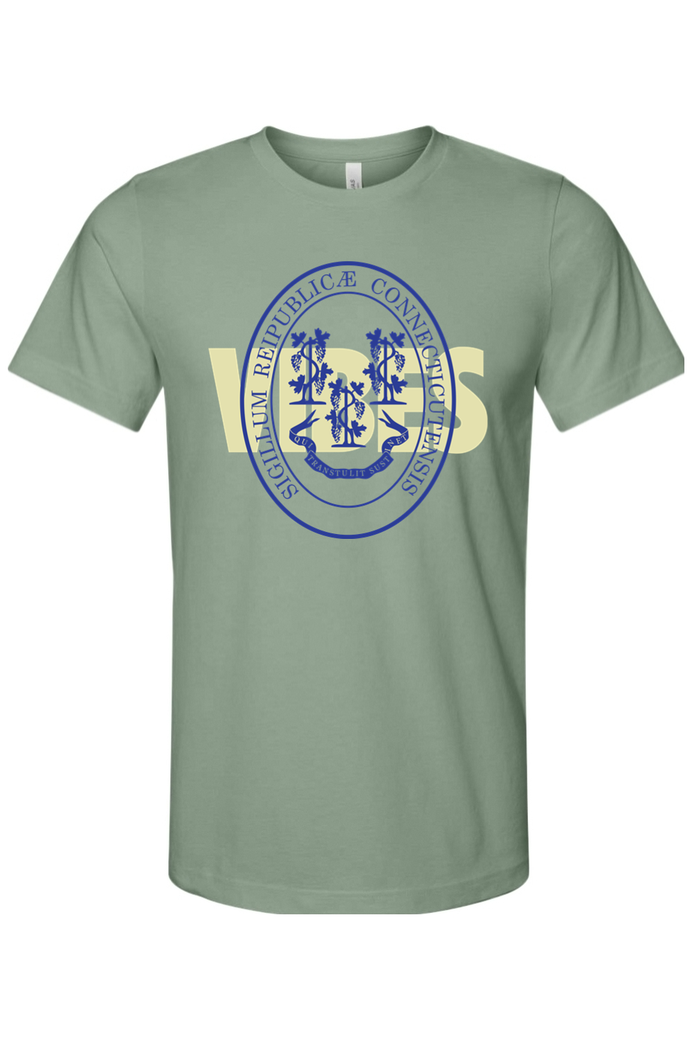 CT Vibes - Bella + Canvas Tee