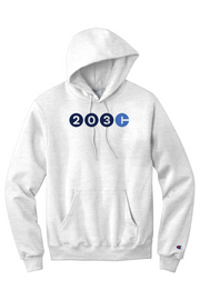 Connecticut - Area Code - Champion Hooded Sweatshirt
