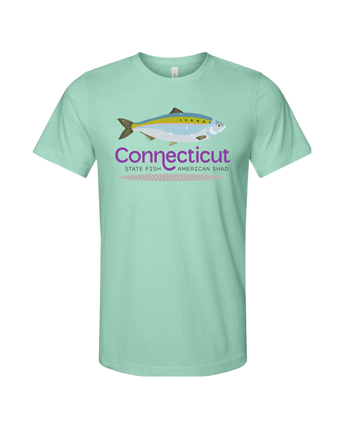 State Fish American Tee